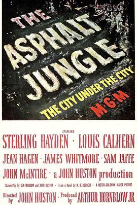 夜阑人未静 The Asphalt Jungle