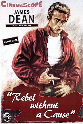 无因的反叛 Rebel Without a Cause