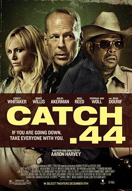 第44条军规 Catch .44