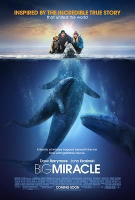 鲸奇 Big Miracle