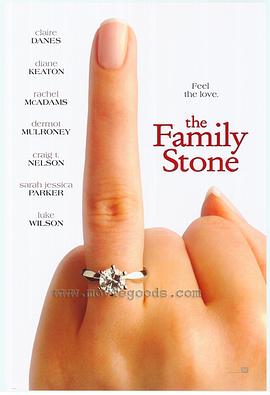 斯通家族 The Family Stone