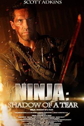 忍者2：撕裂的暗影 Ninja: Shadow of a Tear