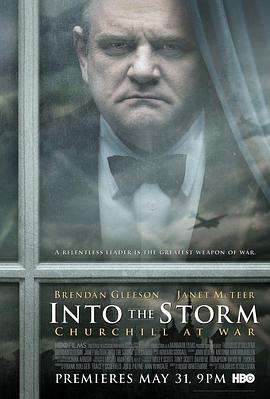 不惧风暴 Into the Storm