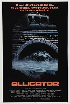 大鳄鱼 Alligator