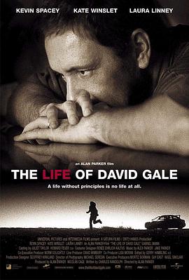 大卫·戈尔的一生 The Life of David Gale