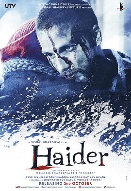 海德尔 Haider