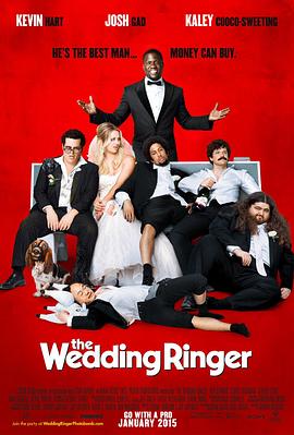 定制伴郎 The Wedding Ringer