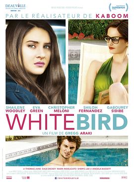 暴风雪中的白鸟 White Bird in a Blizzard