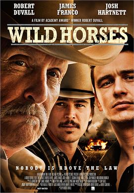 野马 Wild Horses