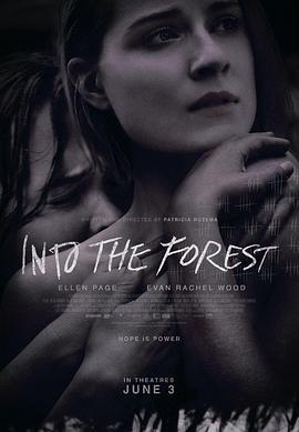 森林深处 Into the Forest