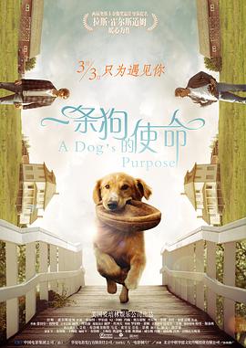 一条狗的使命 A Dog's Purpose