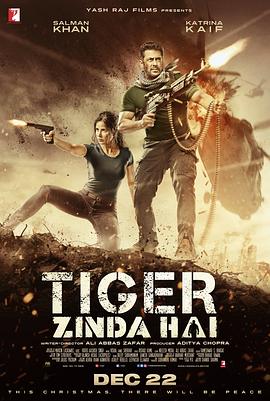 猛虎还活着 Tiger Zinda Hai