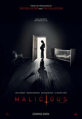 心怀恶意 Malicious