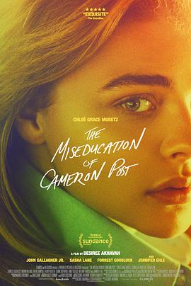 错误教育 The Miseducation of Cameron Post