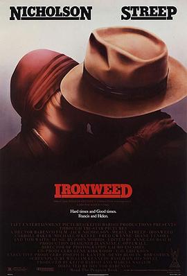 紫苑草 Ironweed