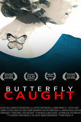 折翅蝴蝶 Butterfly Caught