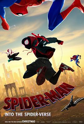 蜘蛛侠：平行宇宙 Spider-Man: Into the Spider-Verse