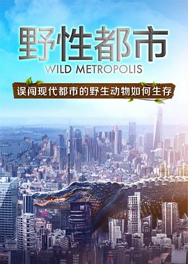 野性都市 Wild Metropolis