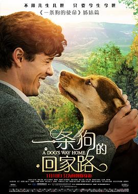 一条狗的回家路 A Dog's Way Home