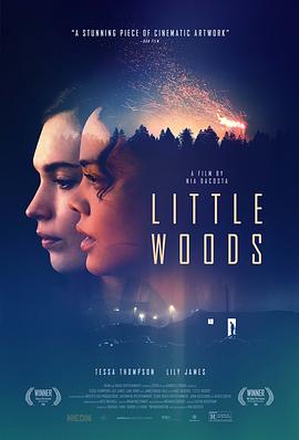 小森林 Little Woods