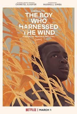 驭风男孩 The Boy Who Harnessed the Wind