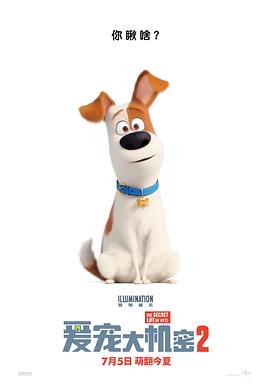 爱宠大机密2 The Secret Life of Pets 2