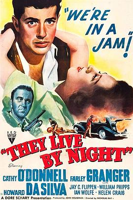 夜逃鸳鸯 They Live by Night