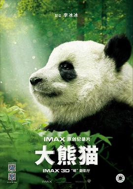 大熊猫 Pandas