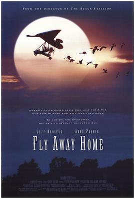 伴你高飞 Fly Away Home