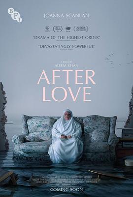 爱的后事 After Love