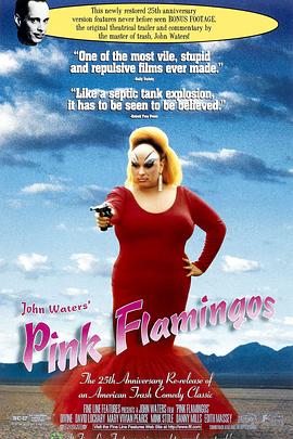 粉红色的火烈鸟 Pink Flamingos