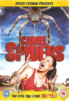 骆驼蜘蛛 Camel Spiders